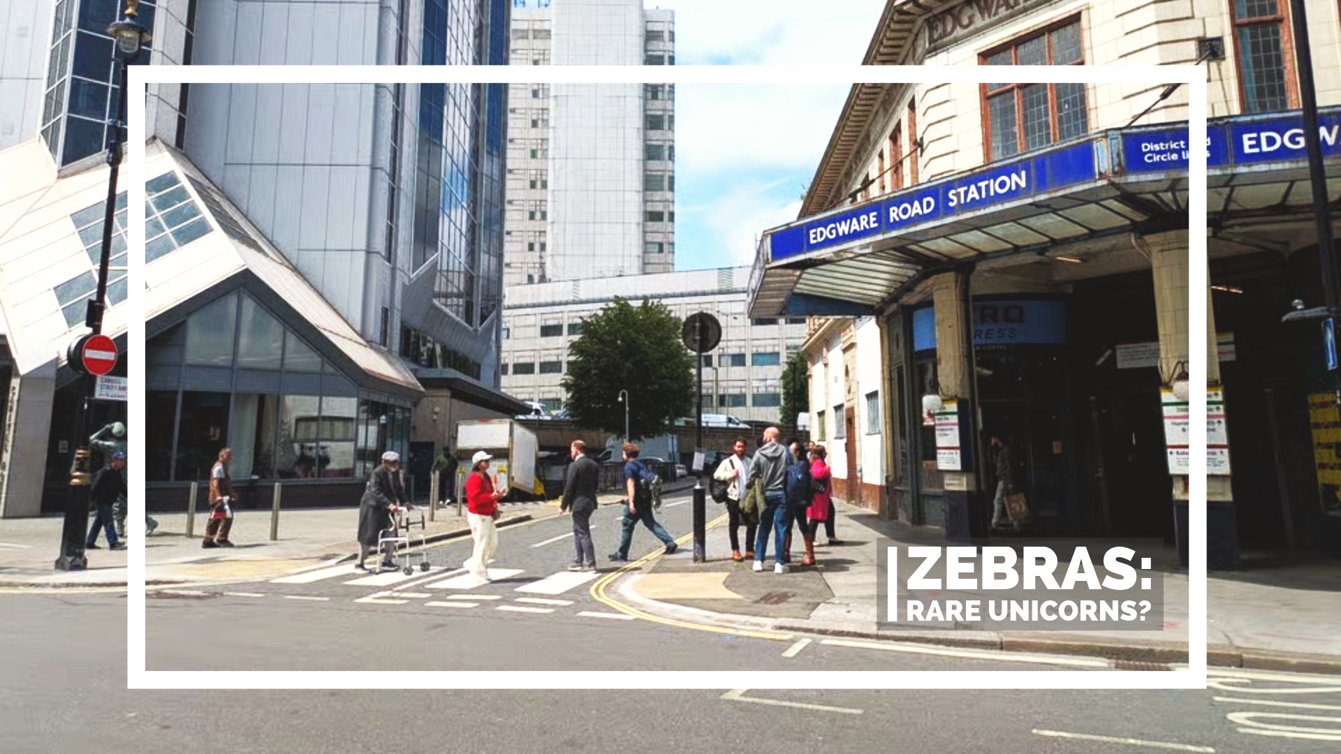 Zebras! Unicorns! And… Exercise Snacks?